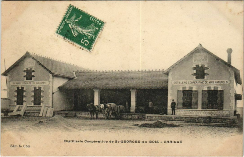 Carte postale ancienne Saint-Georges-du-Bois Chaille Distilerie Coopérative à Saint-Georges-du-Bois