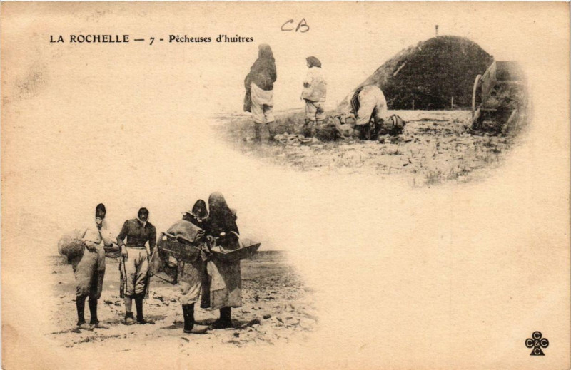 Carte postale ancienne La Rochelle Pecheuses d'huitres à La Rochelle