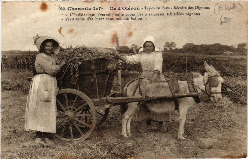 Carte postale ancienne Ile-d'Oleron Types du Pays-Récolte des Oignons