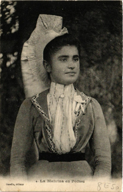 Carte postale ancienne La Malvina en Poitou