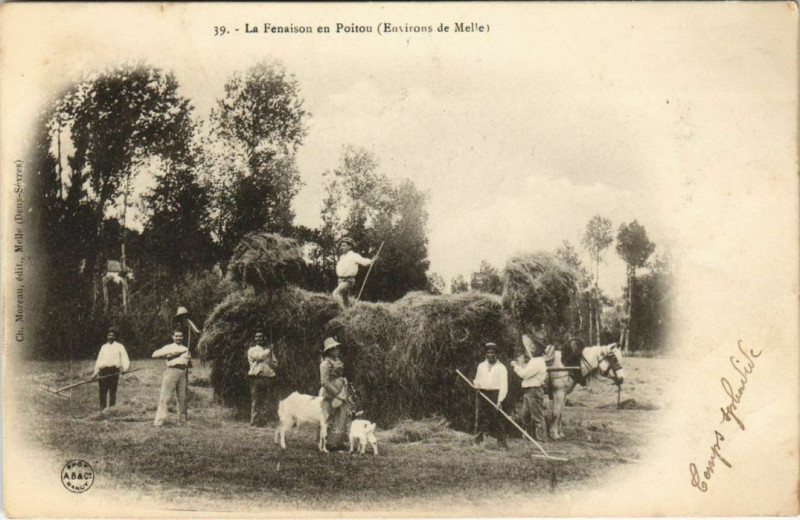 Carte postale ancienne Poitou La Fenaison