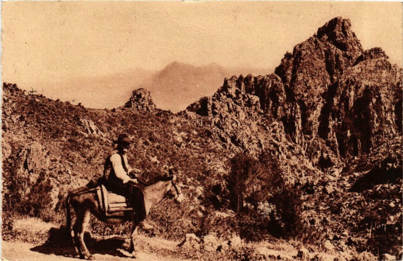 Carte postale ancienne Corse Piana - Dans les Calanche à Piana