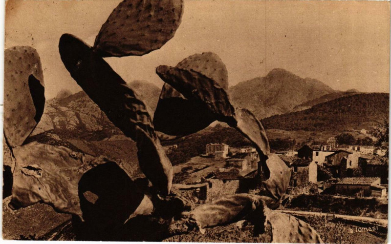 Carte postale ancienne Corse Piana à Piana