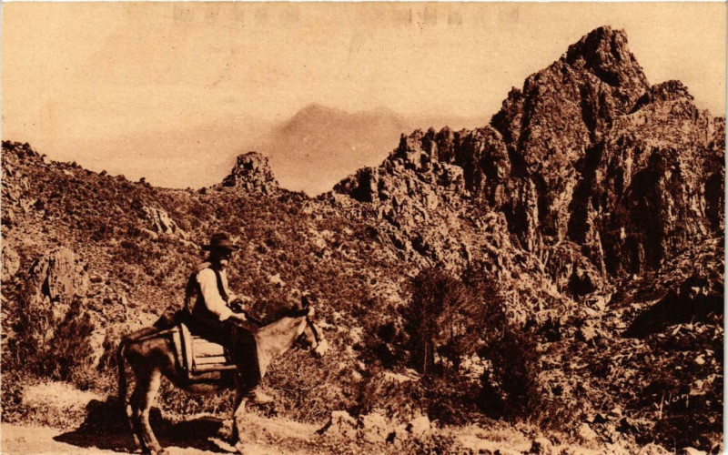 Carte postale ancienne Corse Piana - Dans les Calanche à Piana