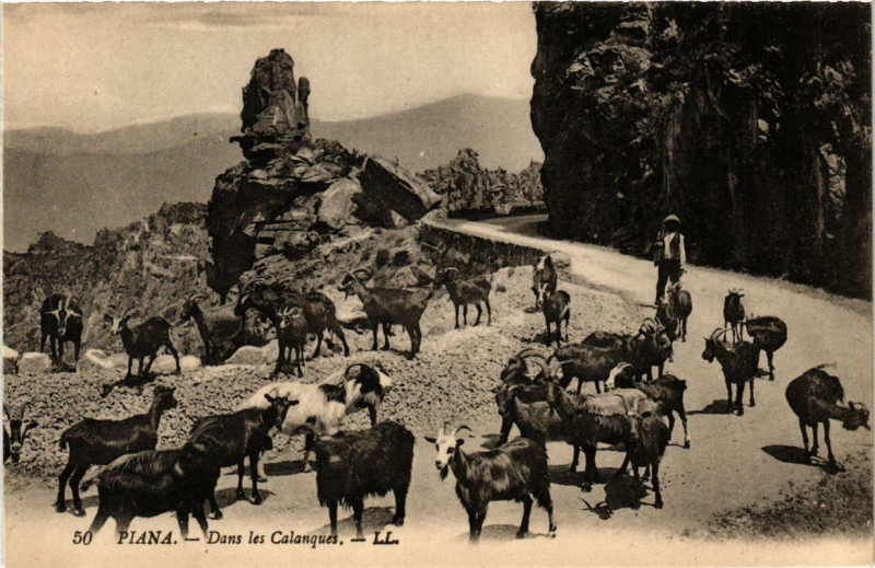 Carte postale ancienne Piana - Dans les Calanques Corse à Piana
