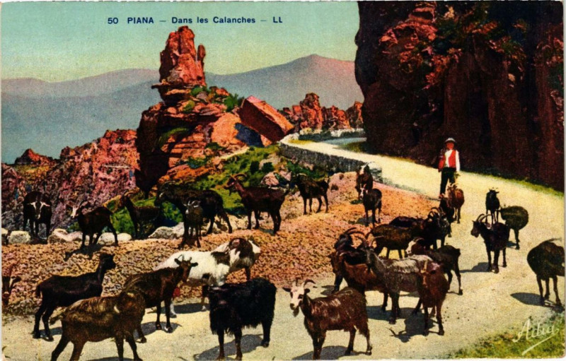 Carte postale ancienne Piana - Dans les Calanches Corse à Piana