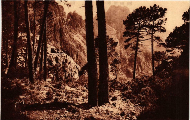 Carte postale ancienne Piana - Un coin pttoresques des 'Calanche' Corse à Piana