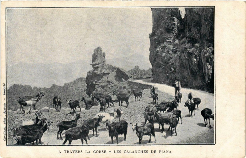 Carte postale ancienne A Travers la Corse - Les Calanches de Piana Corse à Piana