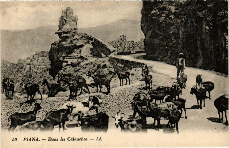 Carte postale ancienne Piana - Dans les Calanches Corse à Piana