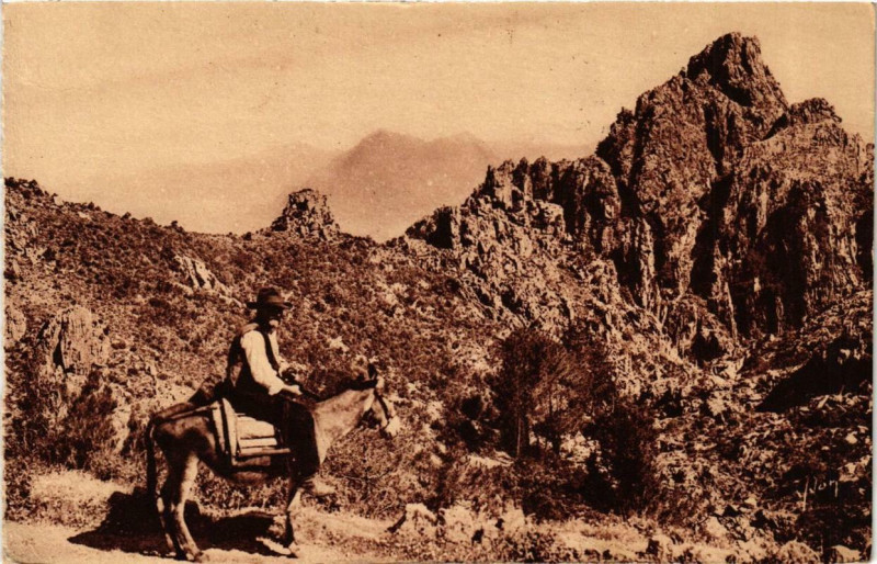 Carte postale ancienne Corse Piana - Dans les Calanche à Piana