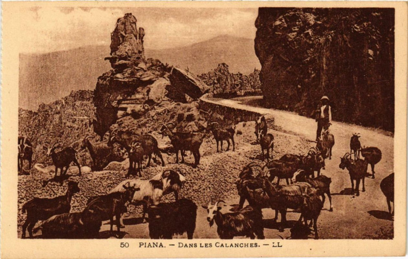 Carte postale ancienne Piana - Dans les Calanches Corse à Piana