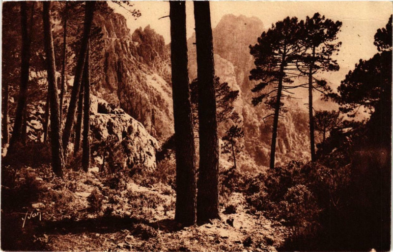 Carte postale ancienne Piana - Un con pittoresque des Calanche Corse à Piana