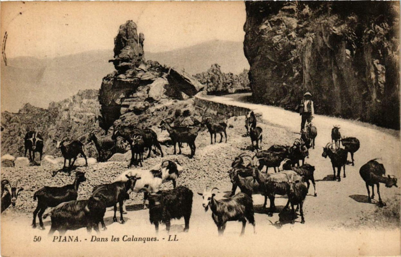 Carte postale ancienne Piana - Dans les Calanques Corse à Piana