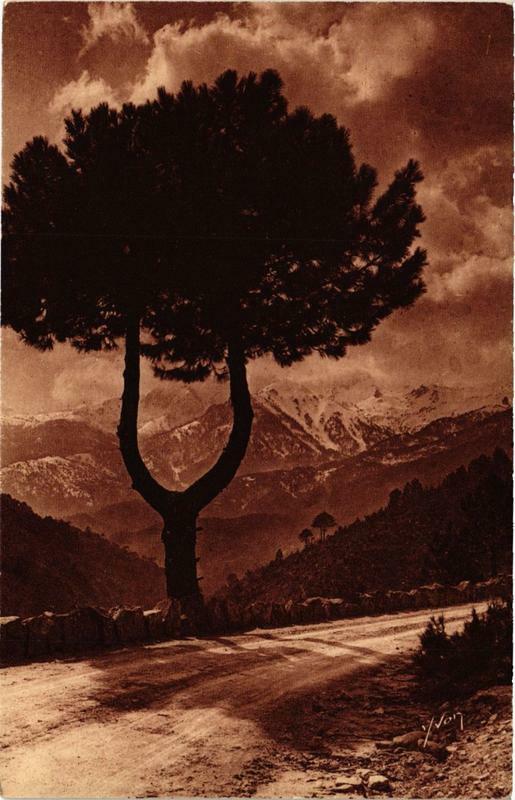 Carte postale ancienne Route de Sartene- Les grandioses rochers du Kyrie Corse à Sartène