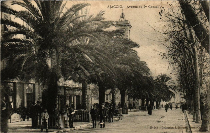 Carte postale ancienne Ajaccio - Avenue du 1er Consul Corse à Ajaccio