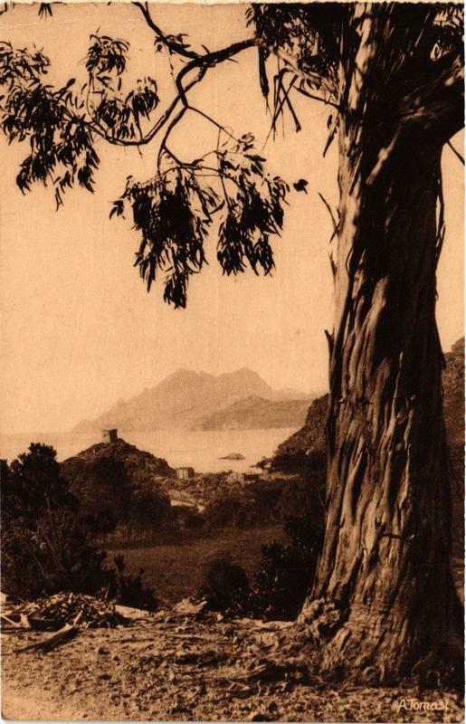 Carte postale ancienne Corse - Porto à Orto
