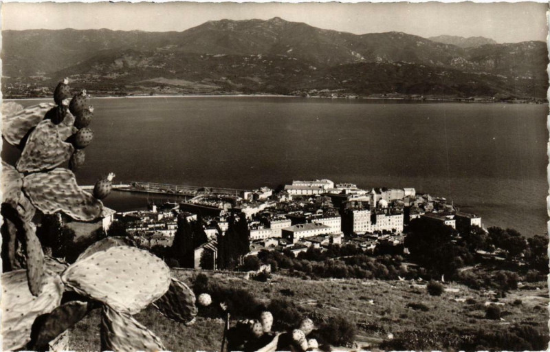 Carte postale ancienne Ajaccio - vu du Salario Corse à Ajaccio