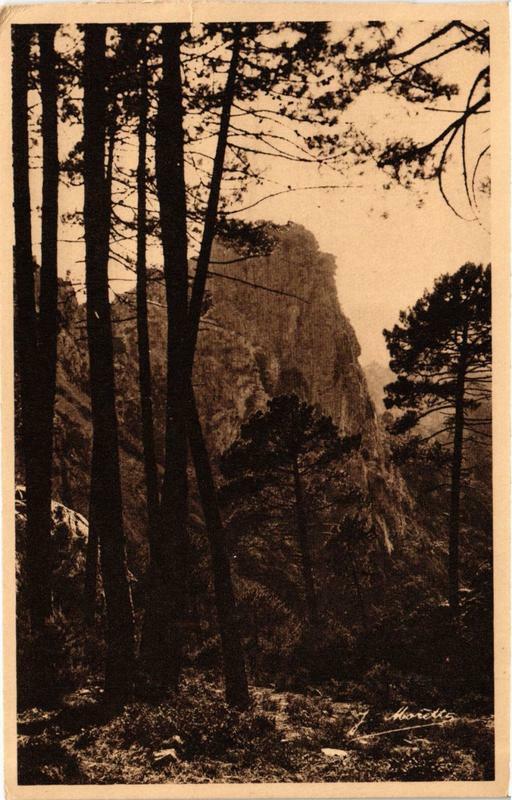 Carte postale ancienne Corse - Calanches de Piana à Piana