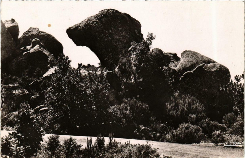 Carte postale ancienne Corse - Calanches de Piana Téte de Chien à Piana