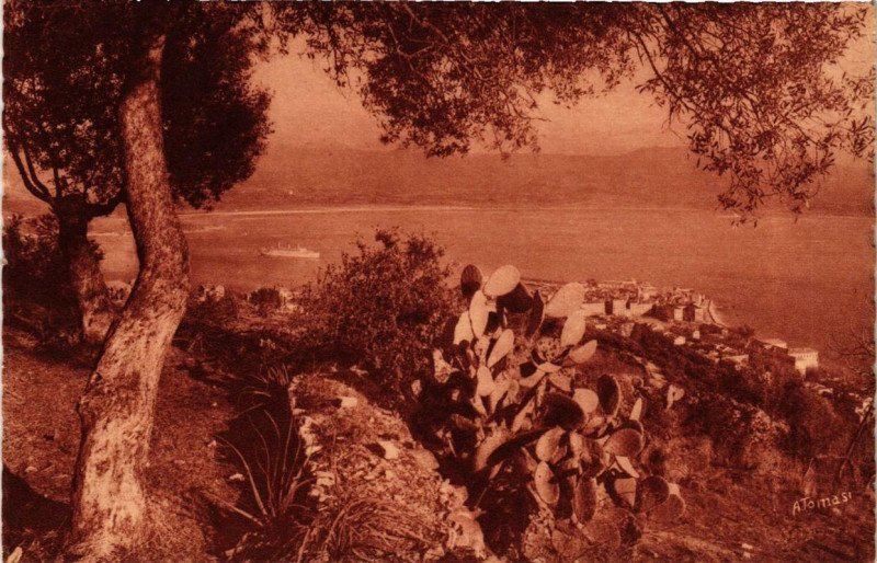Carte postale ancienne Corse - Ajaccio à Ajaccio