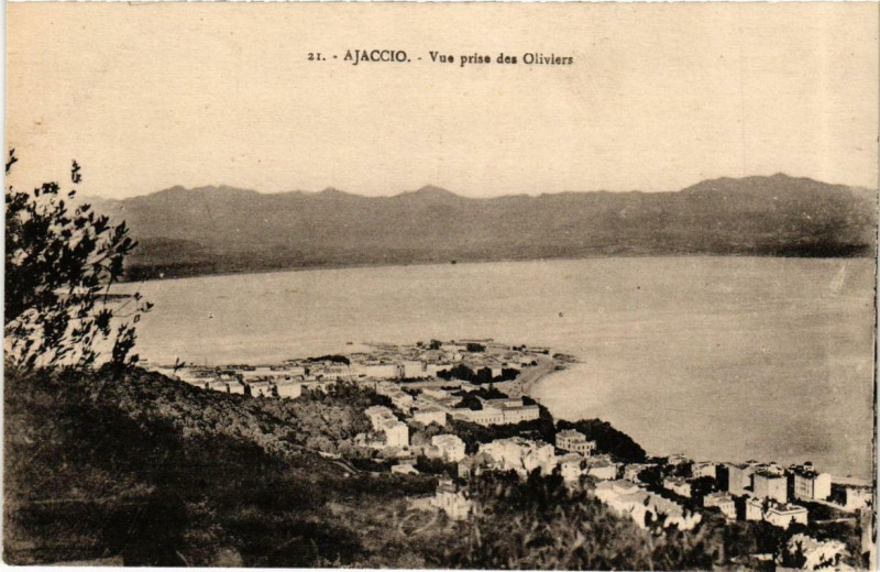 Carte postale ancienne Corse - Ajaccio - Vue prise des Oliviers à Ajaccio