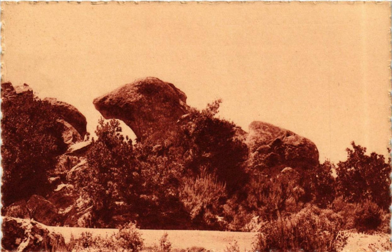 Carte postale ancienne Corse - Calanches de Piana Téte de Chien à Piana