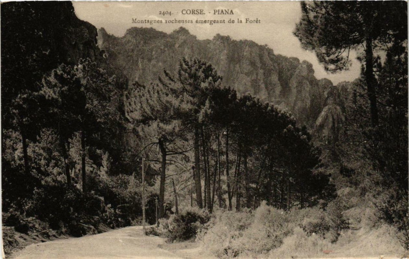 Carte postale ancienne Corse - Piana - Montagnes rocheuses emergeant de la Foret à Piana
