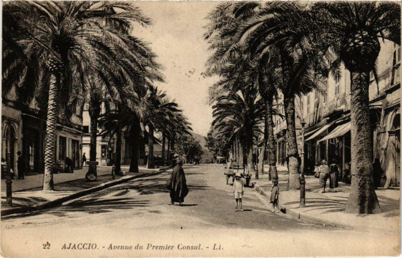 Carte postale ancienne Corse - Ajaccio - Avenue du Premier Consul à Ajaccio