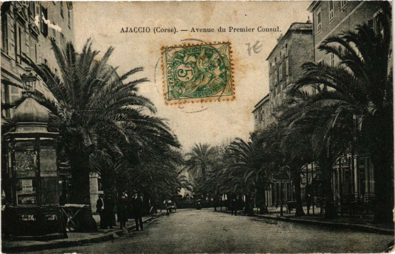 Carte postale ancienne Corse - Ajaccio - Avenue du Premier Consul à Ajaccio