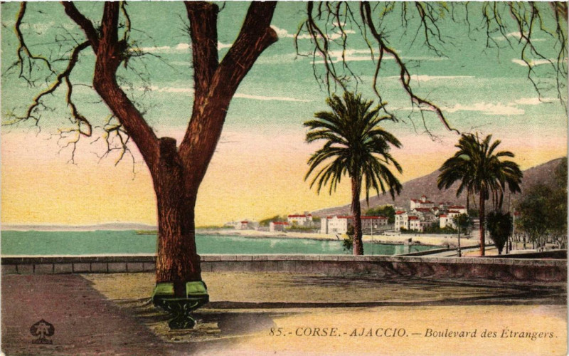 Carte postale ancienne Corse - Ajaccio - Boulevard des Etrangers à Ajaccio