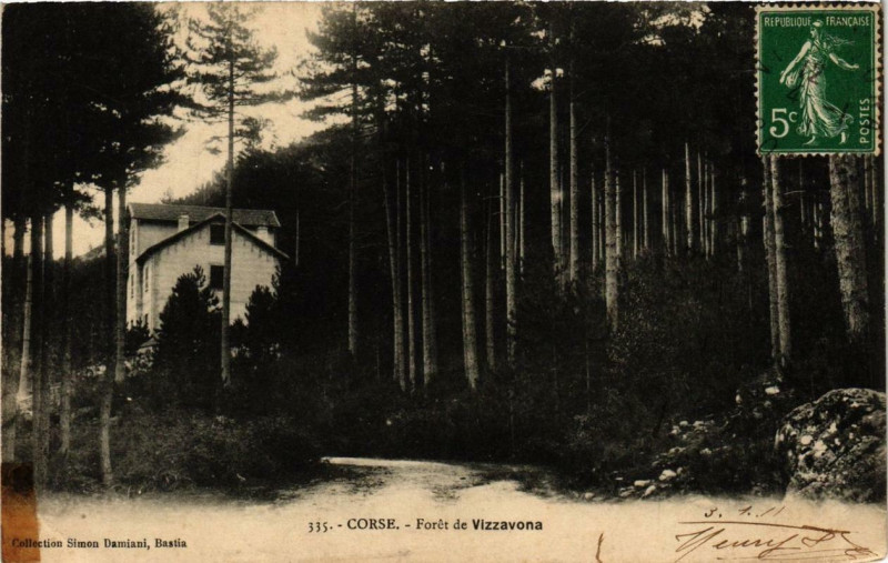 Carte postale ancienne Corse Foret de Vizzavona