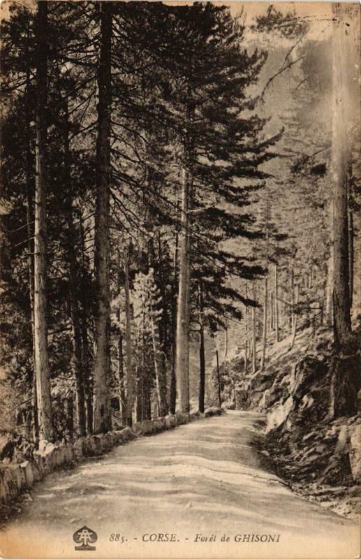 Carte postale ancienne Corse Foret de Ghisoni à Ghisoni
