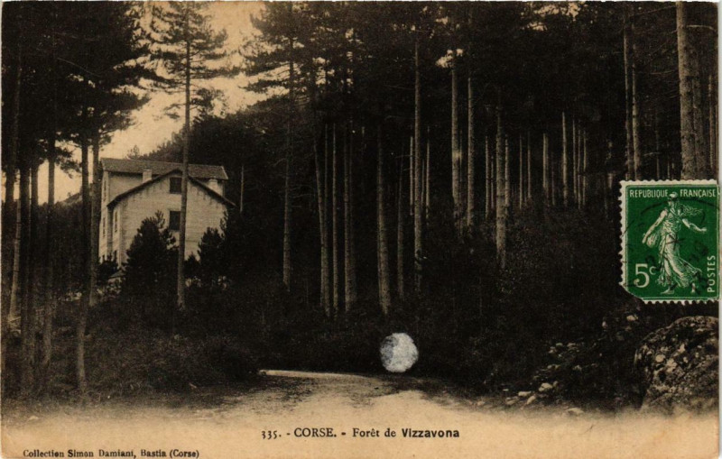 Carte postale ancienne Corse Foret de Vizzavona