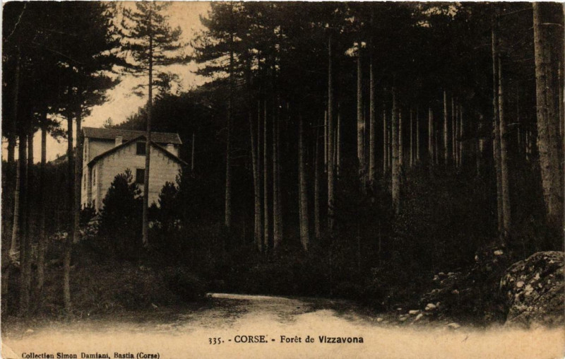 Carte postale ancienne Corse Foret de Vizzavona