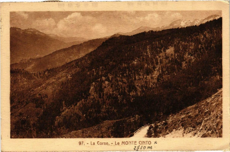 Carte postale ancienne Corse Le Monte Cinto à Monte