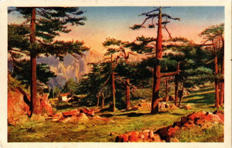 Carte postale ancienne Corse Bavella