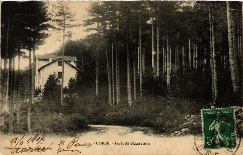 Carte postale ancienne Corse Foret de Vizzavona