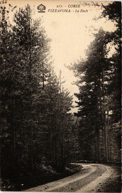 Carte postale ancienne Corse Vizzavona - La Foret