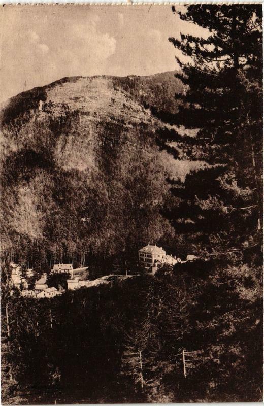 Carte postale ancienne Corse Foret de Vizzanova Le Grand Hotel