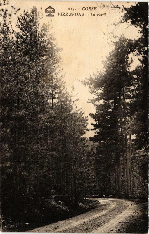 Carte postale ancienne Corse Vizzavona - La Foret