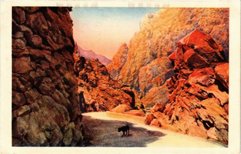 Carte postale ancienne Corse Scala de Santa Regina
