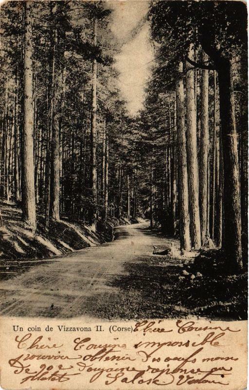 Carte postale ancienne Corse Un coin de Vizzavona