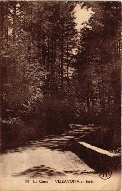 Carte postale ancienne Corse Vizzavona en Foret