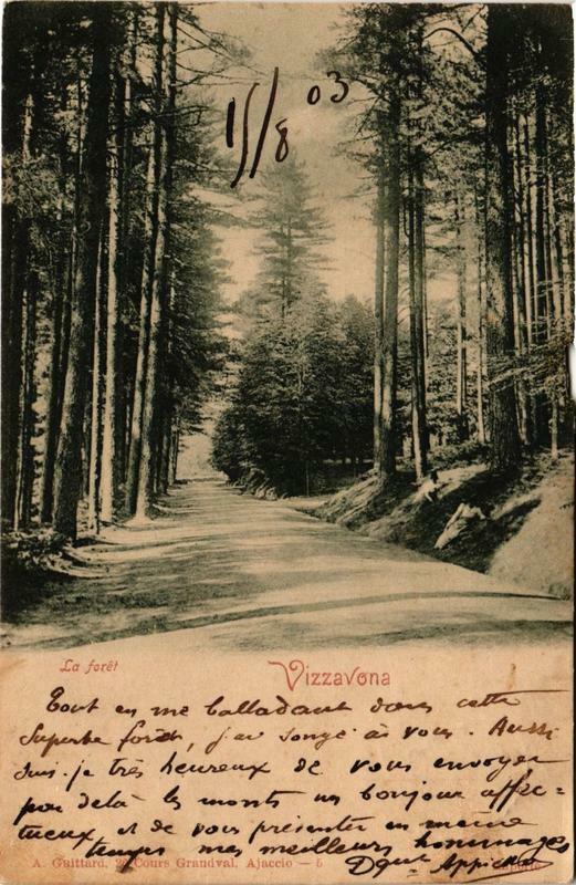 Carte postale ancienne Corse Vizzavona - La Foret