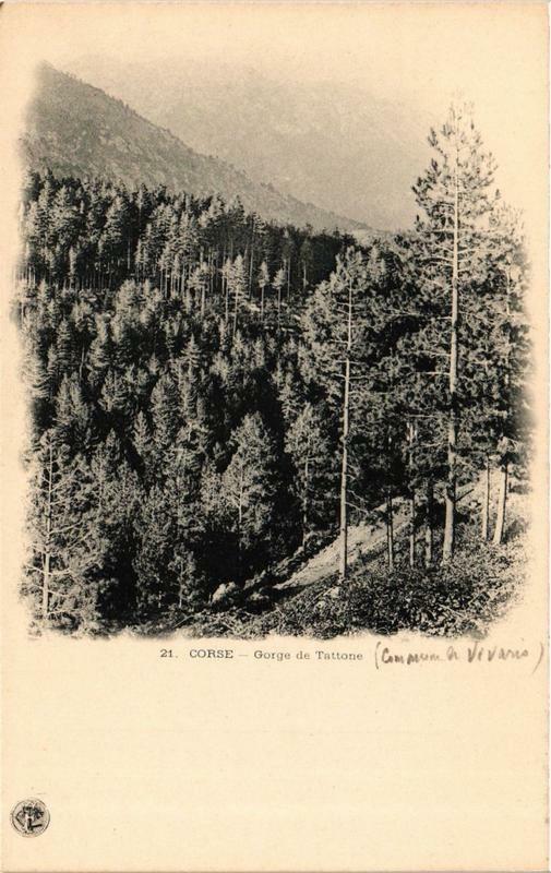 Carte postale ancienne Corse Gorge de Tattone