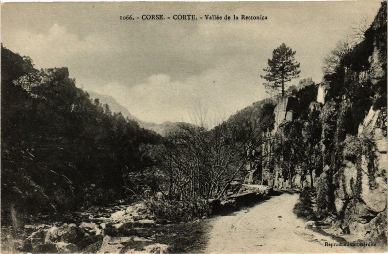Carte postale ancienne Corse Corte - Vallée de la Restonica à Corte