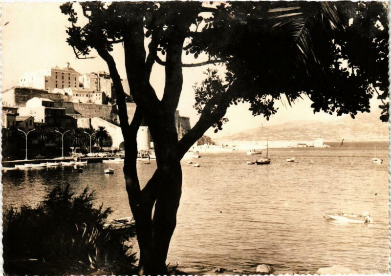 Carte postale ancienne Corse Calvi et son golfe à Calvi