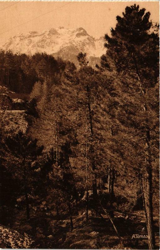 Carte postale ancienne Corse Vizzavona. Le Monte Doro à Monte