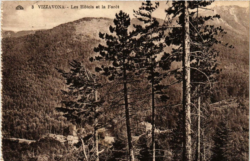 Carte postale ancienne Corse Vizzavona. Les Hotels et la Foret