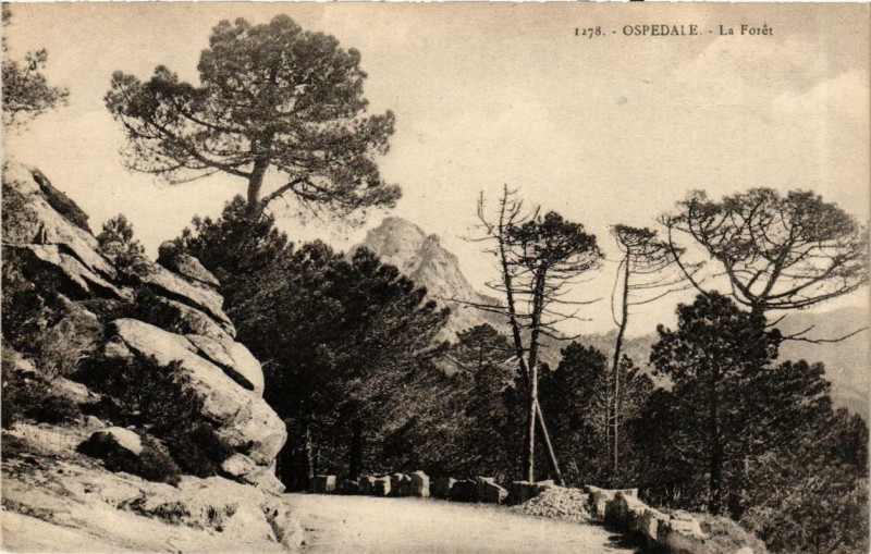 Carte postale ancienne Corse Ospedale - La Foret